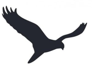 Kiekendief, symbool van Flevoland