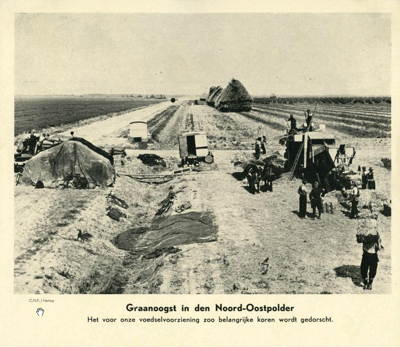 Duitse-Propaganda-Tijdens-de-Tweede-Wereldoorlog.-Graan-wordt-geoogst-in-de-Noord-Oostpolder-1944.png