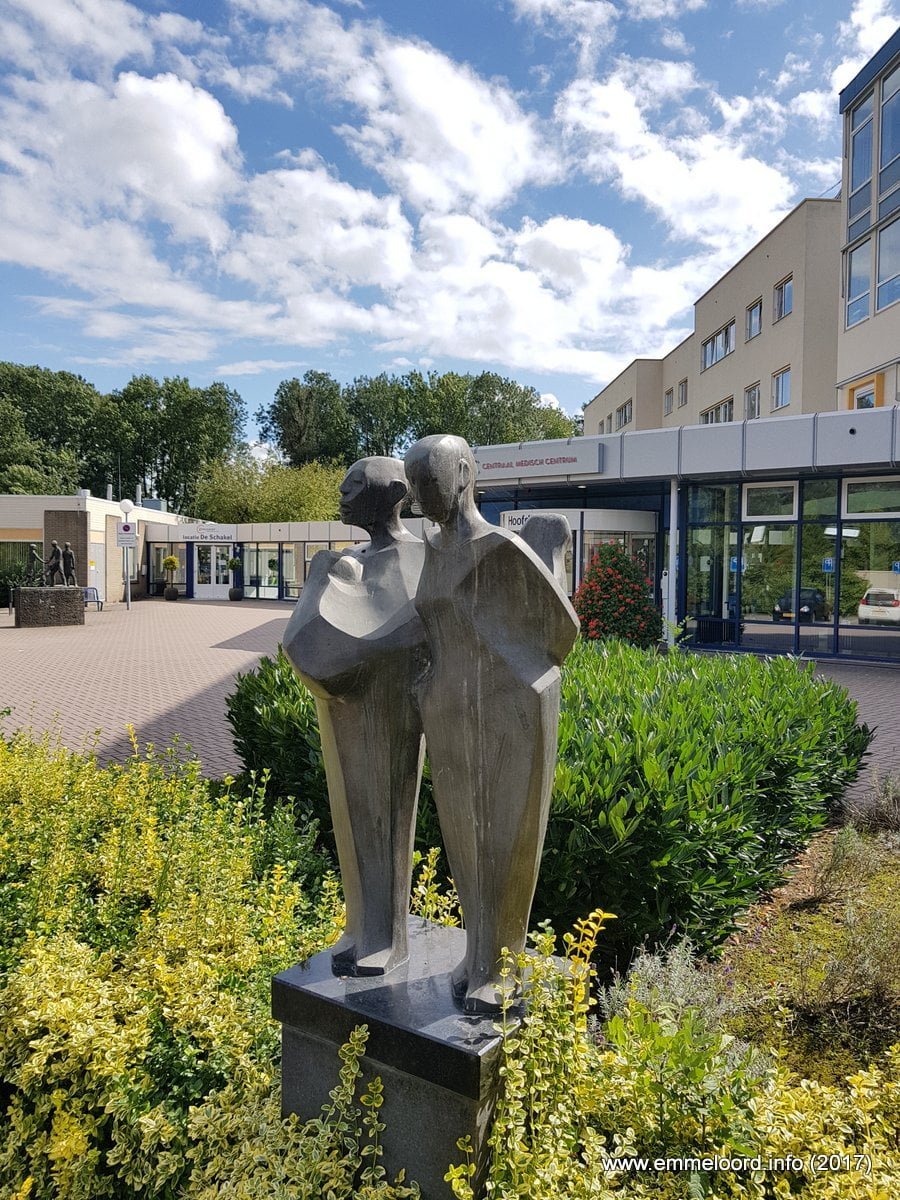 Oogst - Nel van Lith