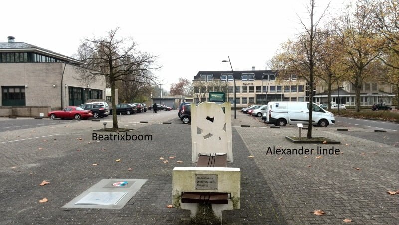 koninklijk-bos.jpg