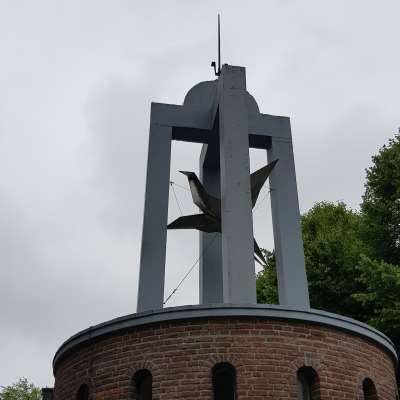 Kraanvogel - kraanvogel-vlakje.jpg