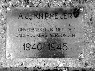 Knipmeijer-vlakje.jpg