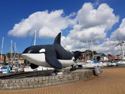 De-orca-vlakje.jpg