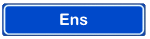 Kunst en cultuur in Ens