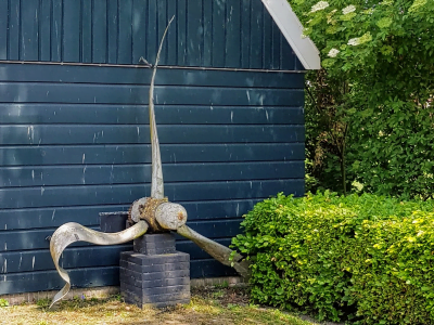 Propellor-vlakje.png